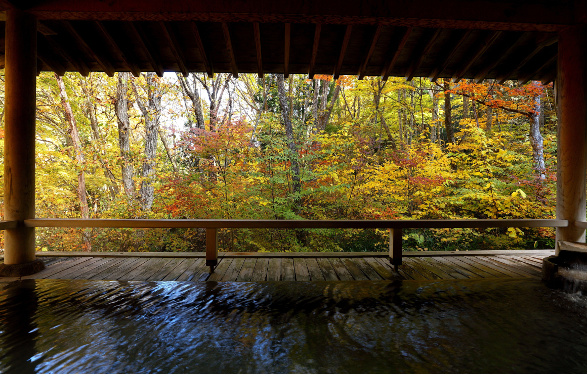 桜庭温泉の画像2
